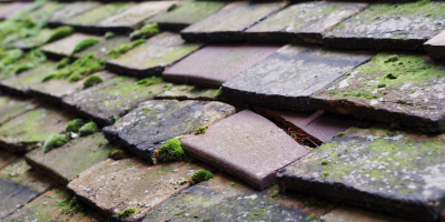 Ffaldybrenin roof repair costs